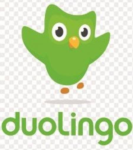 duolingo abc for android